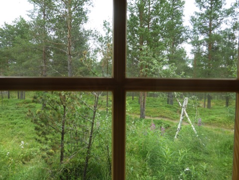 Soarvi cabin view